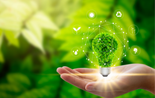 light bulb made of grass to represent ESG issues